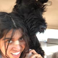 Daisy S.'s profile image