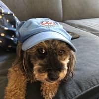 Jeff A.'s profile image