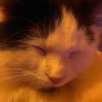 Amber W.'s profile image