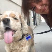 Glynnis O.'s profile image