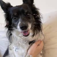 Phuong D.'s profile image