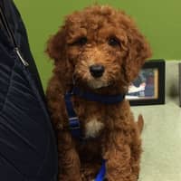 Jill L.'s profile image