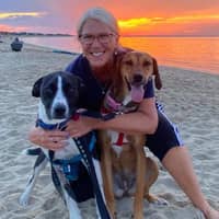 Jacqui L.'s profile image
