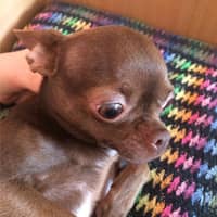 Elizabeth K.'s profile image