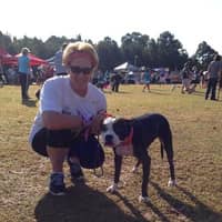 Lynn I.'s profile image