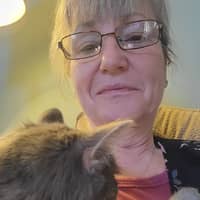 Vicki S.'s profile image