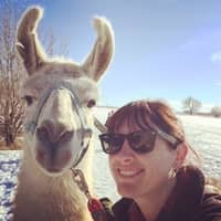 Lindsay D.'s profile image