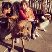 Emily P.'s profile image