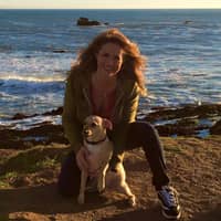 Dorothy C.'s profile image