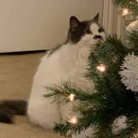 Janice H.'s profile image
