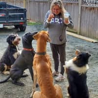 Elaine S.'s profile image