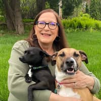 Debbi O.'s profile image