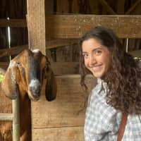 Hailey S.'s profile image