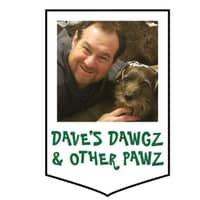 David B.'s profile image