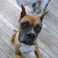 Maria R.'s profile image