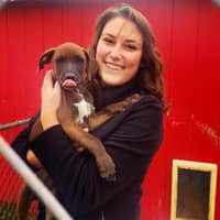 Ava D.'s profile image
