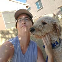 Lauren M.'s profile image