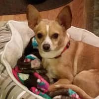 Joan S.'s profile image