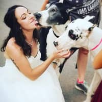 Allison B.'s profile image