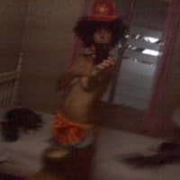 Margaux D.'s profile image