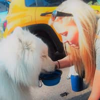 Elizabeth M.'s profile image