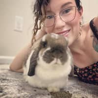 Brianna S.'s profile image
