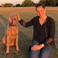 Rachel B.'s profile image
