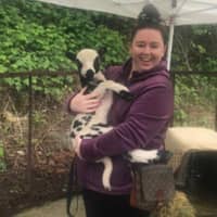 Katie A.'s profile image