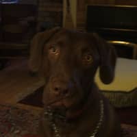 Deb Y.'s profile image