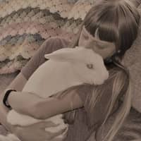 Crystal Y.'s profile image