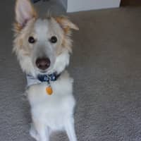 Elizabeth P.'s profile image