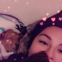 Jenifer C.'s profile image