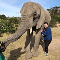 Courtney B.'s profile image