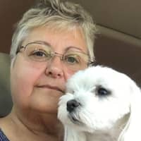 Ginny & Larry H.'s profile image