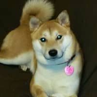 Aaron F.'s profile image
