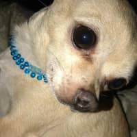 Alyssa S.'s profile image
