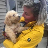 Lisa K.'s profile image