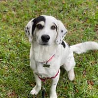 Emilyn P.'s profile image