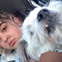 Tooka A.'s profile image