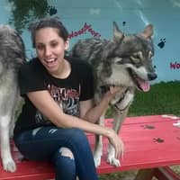 Bridgette C.'s profile image