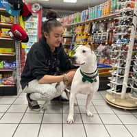 Kristin D.'s profile image