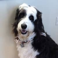 Margaret "Jane" R.'s profile image