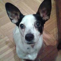 Elaine O.'s profile image