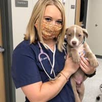 Brooke G.'s profile image