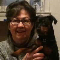 Cyndi M.'s profile image