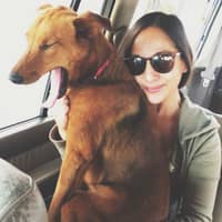 Rebecca E.'s profile image