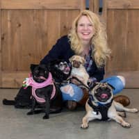 Angela H.'s profile image