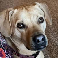 Pam and Taylor G.'s profile image