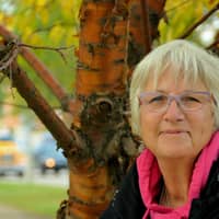 Denise P.'s profile image