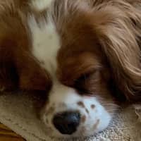 Mary  joyce M.'s profile image
